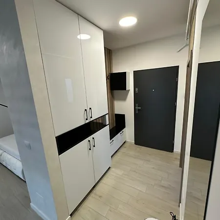 Garsoniera Zona Centrala Apartment