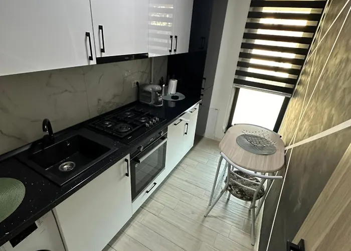 Garsoniera Zona Centrala 아파트 *