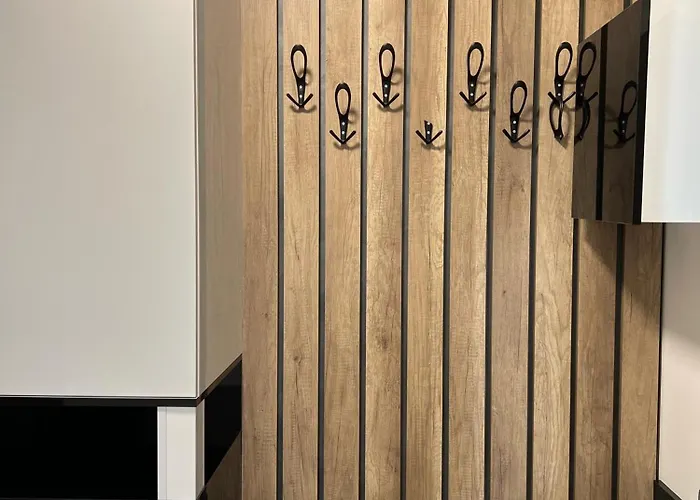 Garsoniera Zona Centrala 크라이오바